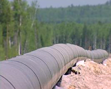 'Газпром' взялся за строительство основного газопровода для экспорта в Азию 'Газпром' взялся за строительство основного газопровода для экспорта в Азию