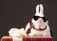 Фото Shutterstock