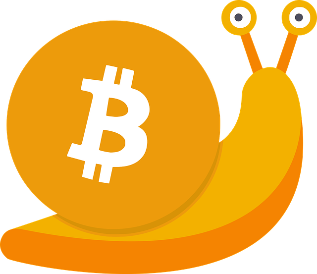 https://pixabay.com/ru