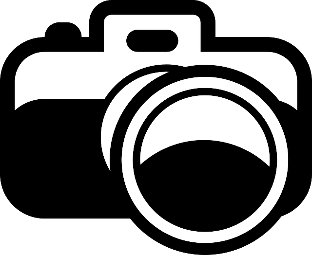 https://pixabay.com/ru