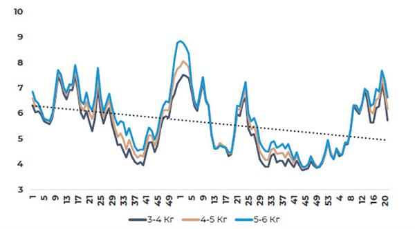Динамика цен на атлантического лосося в 2019-2021 гг. по неделям Динамика цен на атлантического лосося в 2019-2021 гг. по неделям