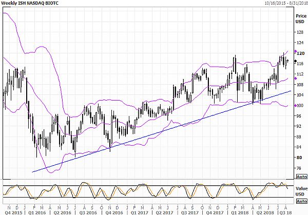 iShares Nasdaq Biotechnology ETF