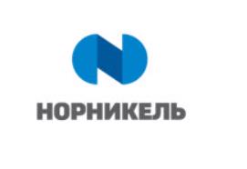 Норникель погасил 0,5% казначейских акций, снизив уставный капитал