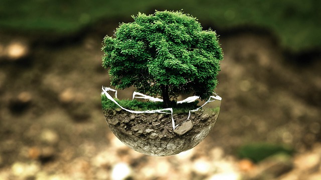 ecology