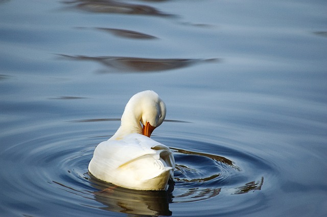 Тонкий лед. Китайский рынок растет, несмотря на «красные флажки»