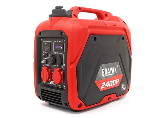 Erayak Power Solution Group Inc. - IPO производителя источников тока