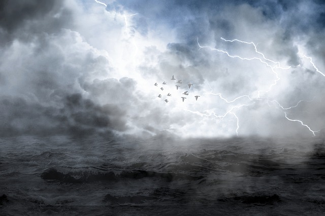 https://pixabay.com/ru
