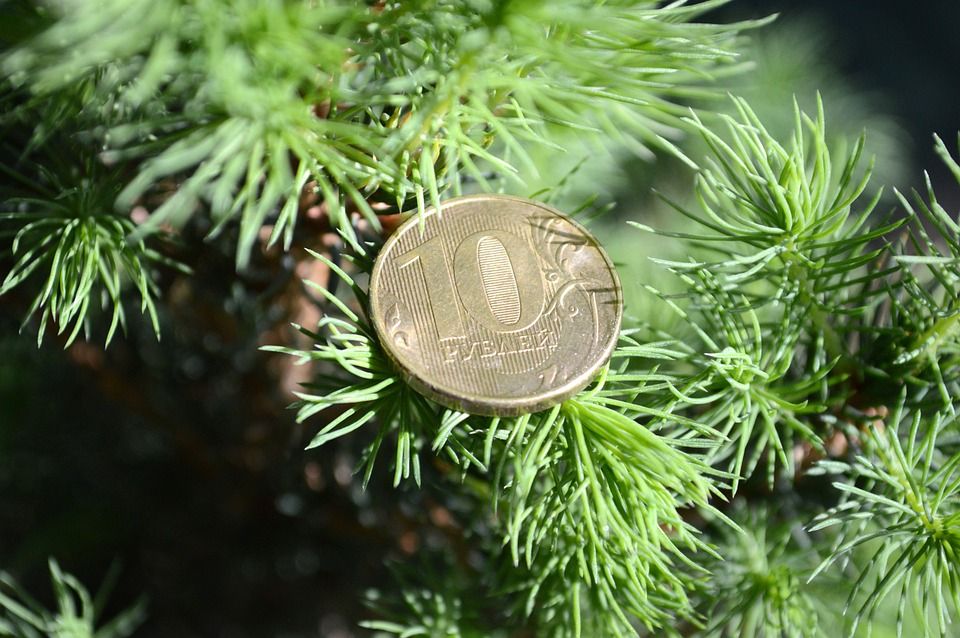 https://www.maxpixel.net/Pine-Plant-Nature-Coins-Branch-Ruble-Tree-3346788